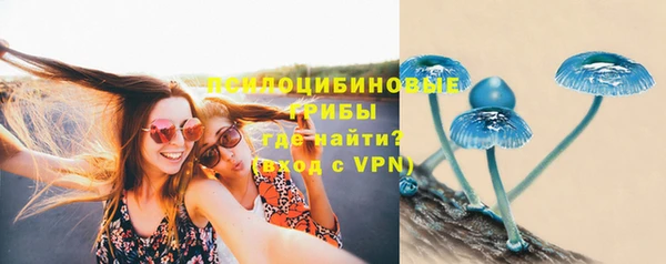 ALPHA-PVP Алексин