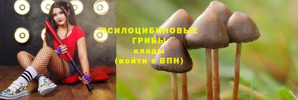 скорость mdpv Алексеевка