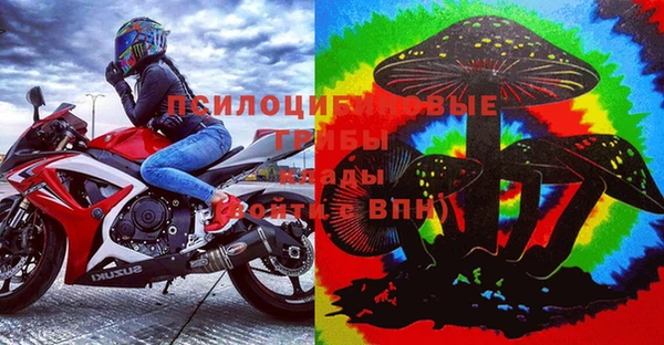 прущая мука Алзамай
