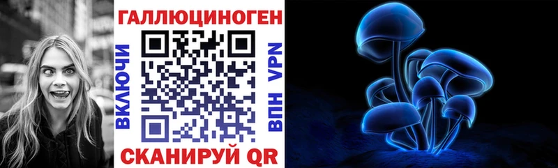 Галлюциногенные грибы Cubensis это какой сайт Каменка