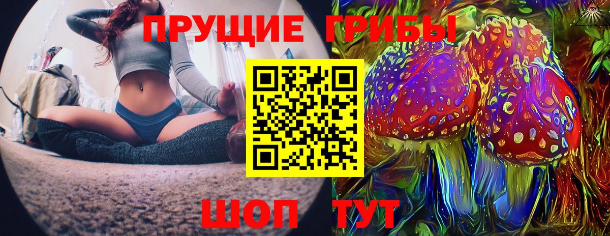 Псилоцибиновые грибы Magic Shrooms  Вход с VPN  Псилоцибиновые грибы ЛСД  Каменка 