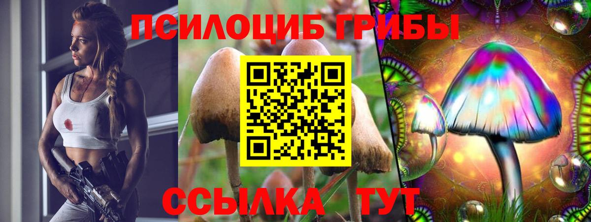 Галлюциногенные грибы прущие грибы Каменка